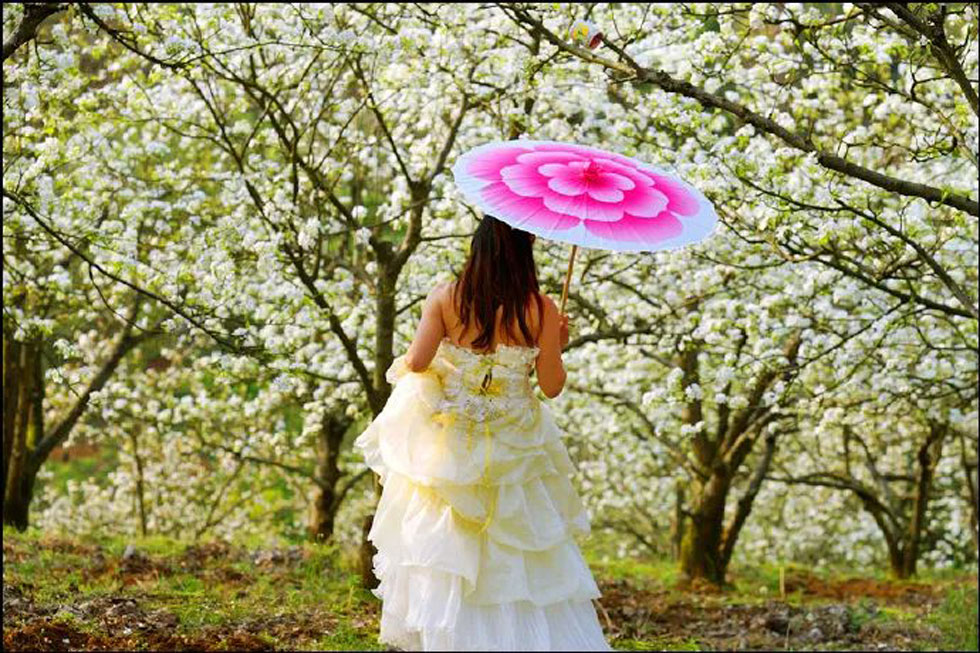 【春天，广西桂林灌阳县向您发出邀请！】我们在灌阳看梨花 - 游山玩水 - 河池生活社区 - 河池28生活网 hc.28life.com