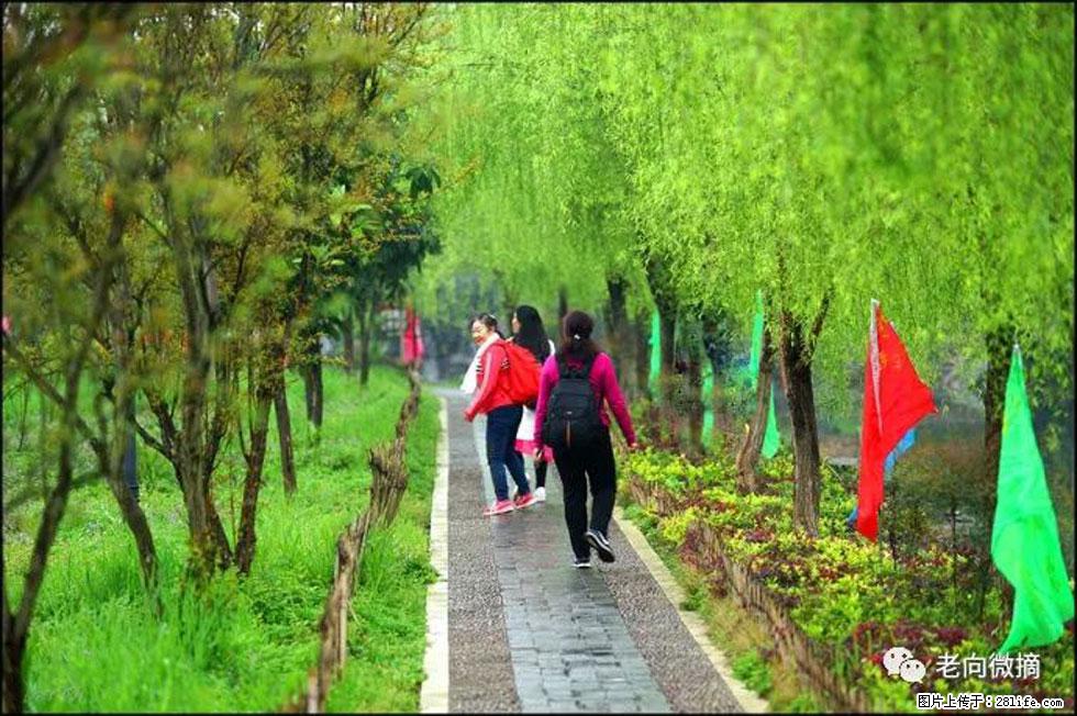 【春天，广西桂林灌阳县向您发出邀请！】江口老街又逢春 - 游山玩水 - 河池生活社区 - 河池28生活网 hc.28life.com