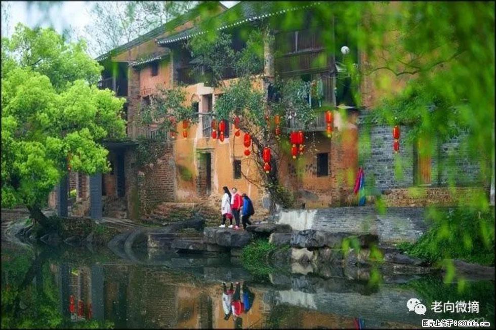 【春天，广西桂林灌阳县向您发出邀请！】江口老街又逢春 - 游山玩水 - 河池生活社区 - 河池28生活网 hc.28life.com