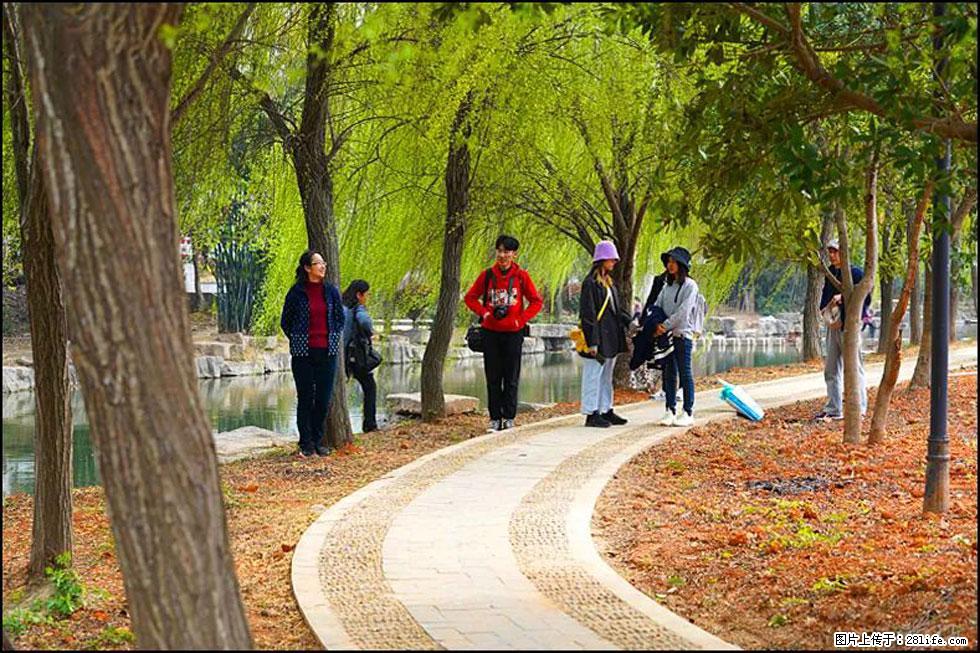 【春天，广西桂林灌阳县向您发出邀请！】江口老街又逢春 - 游山玩水 - 河池生活社区 - 河池28生活网 hc.28life.com