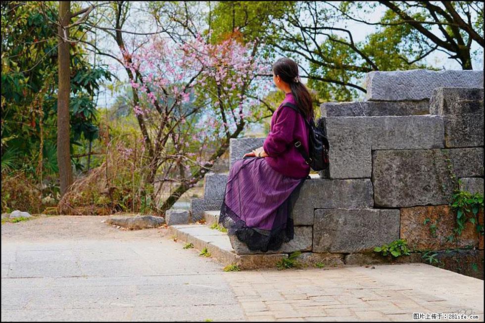 【春天，广西桂林灌阳县向您发出邀请！】江口老街又逢春 - 游山玩水 - 河池生活社区 - 河池28生活网 hc.28life.com