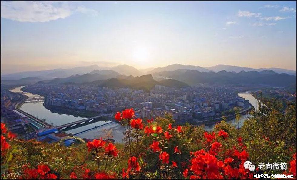 【春天，广西桂林灌阳县向您发出邀请！】登麒麟山，相约映山红 - 游山玩水 - 河池生活社区 - 河池28生活网 hc.28life.com