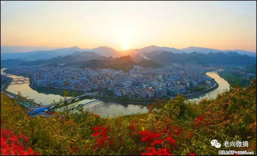 【春天，广西桂林灌阳县向您发出邀请！】登麒麟山，相约映山红 - 游山玩水 - 河池生活社区 - 河池28生活网 hc.28life.com