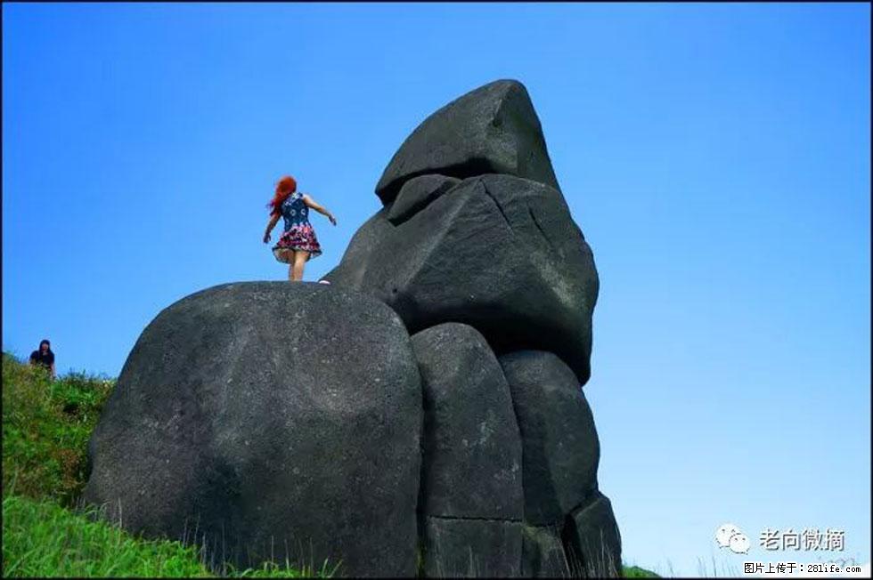 【春天，广西桂林灌阳县向您发出邀请！】宝盖山上映山红 - 游山玩水 - 河池生活社区 - 河池28生活网 hc.28life.com