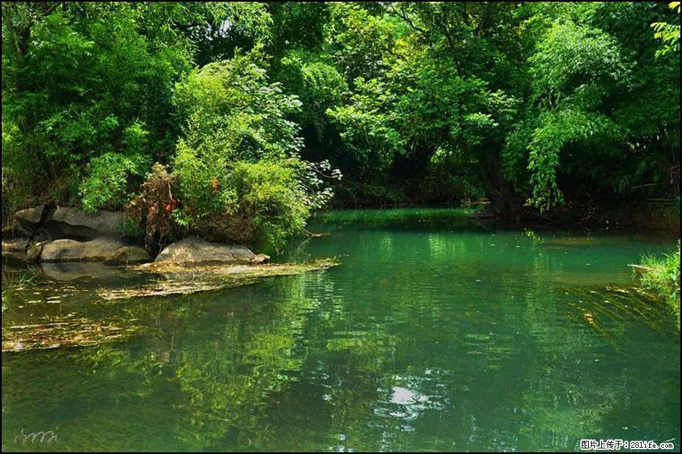 【春天，广西桂林灌阳县向您发出邀请！】如梦似幻莲溪庐 - 游山玩水 - 河池生活社区 - 河池28生活网 hc.28life.com