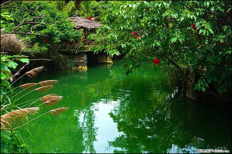 【春天，广西桂林灌阳县向您发出邀请！】如梦似幻莲溪庐 - 游山玩水 - 河池生活社区 - 河池28生活网 hc.28life.com