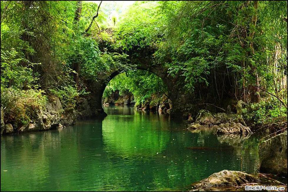 【春天，广西桂林灌阳县向您发出邀请！】如梦似幻莲溪庐 - 游山玩水 - 河池生活社区 - 河池28生活网 hc.28life.com