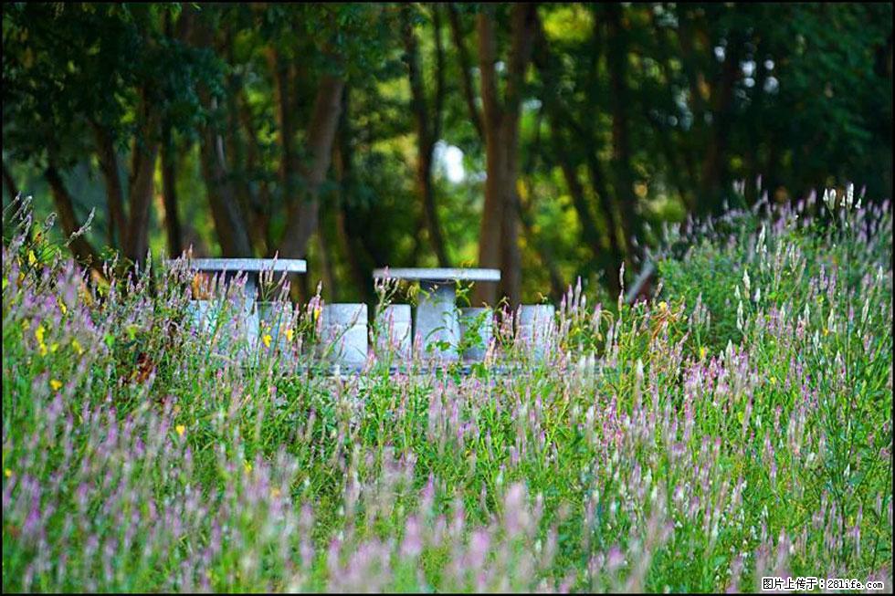 【春天，广西桂林灌阳县向您发出邀请！】熊家寨湿地公园 - 游山玩水 - 河池生活社区 - 河池28生活网 hc.28life.com