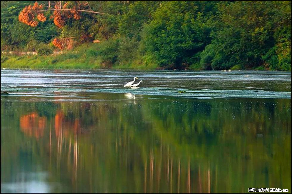 【春天，广西桂林灌阳县向您发出邀请！】熊家寨湿地公园 - 游山玩水 - 河池生活社区 - 河池28生活网 hc.28life.com