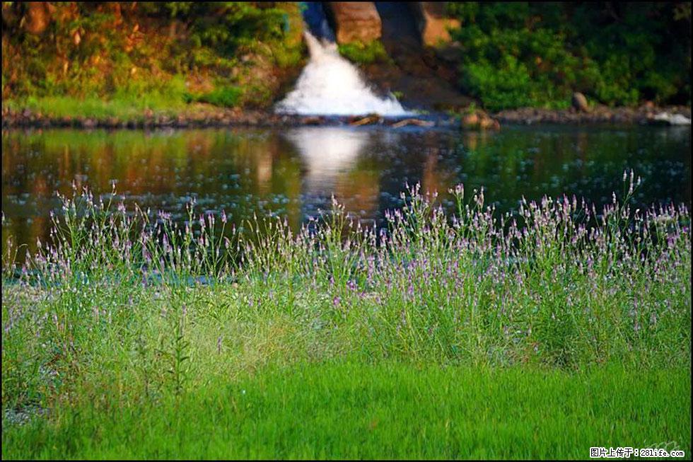 【春天，广西桂林灌阳县向您发出邀请！】熊家寨湿地公园 - 游山玩水 - 河池生活社区 - 河池28生活网 hc.28life.com