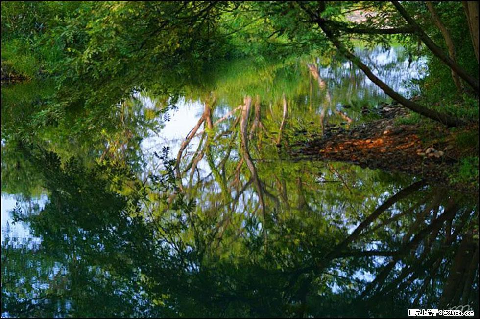 【春天，广西桂林灌阳县向您发出邀请！】熊家寨湿地公园 - 游山玩水 - 河池生活社区 - 河池28生活网 hc.28life.com