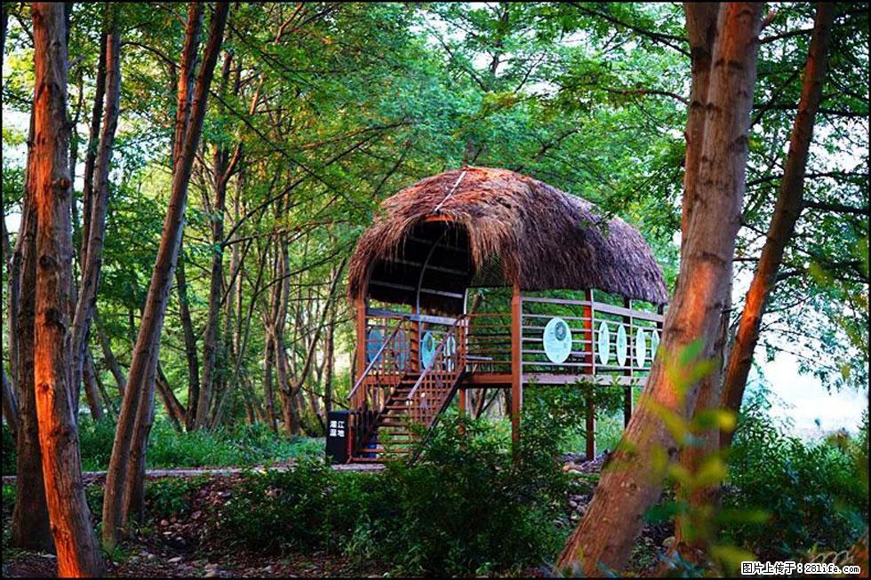 【春天，广西桂林灌阳县向您发出邀请！】熊家寨湿地公园 - 游山玩水 - 河池生活社区 - 河池28生活网 hc.28life.com