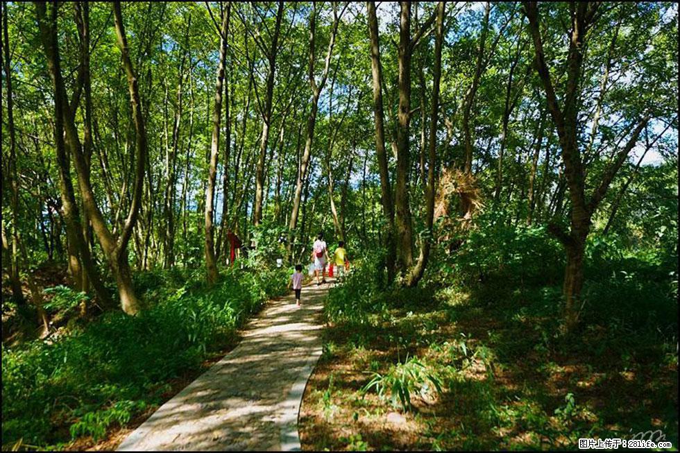 【春天，广西桂林灌阳县向您发出邀请！】熊家寨湿地公园 - 游山玩水 - 河池生活社区 - 河池28生活网 hc.28life.com