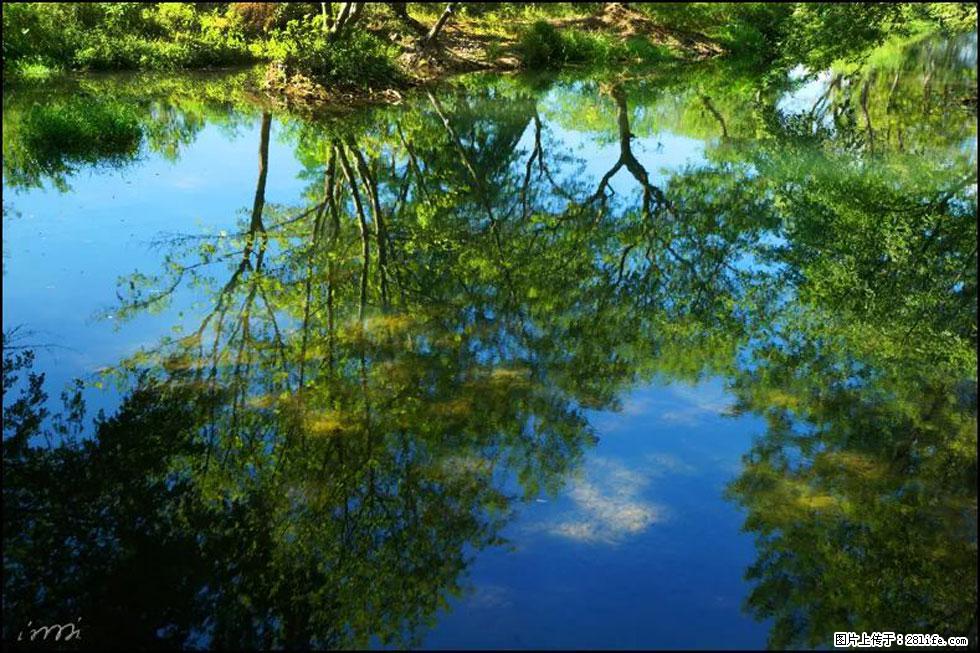 【春天，广西桂林灌阳县向您发出邀请！】熊家寨湿地公园 - 游山玩水 - 河池生活社区 - 河池28生活网 hc.28life.com