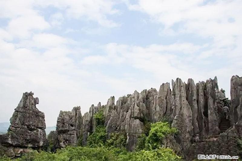 桂林旅游名城景点：灌阳文市石林 - 游山玩水 - 河池生活社区 - 河池28生活网 hc.28life.com