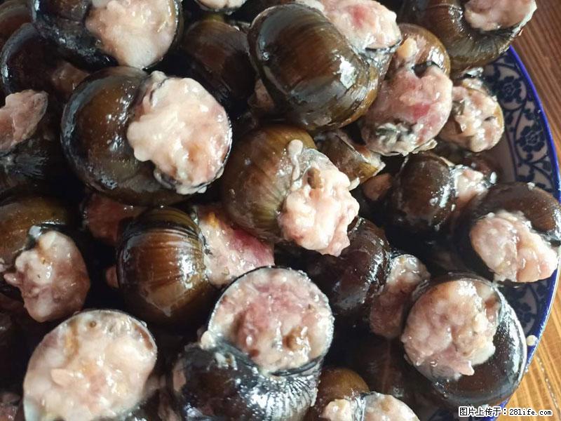 (舌尖上的乡村)灌阳:让人口齿留香的田螺酿 - 2023年07月31日 桂林日报第6版刊发 - 美食天地 - 河池生活社区 - 河池28生活网 hc.28life.com