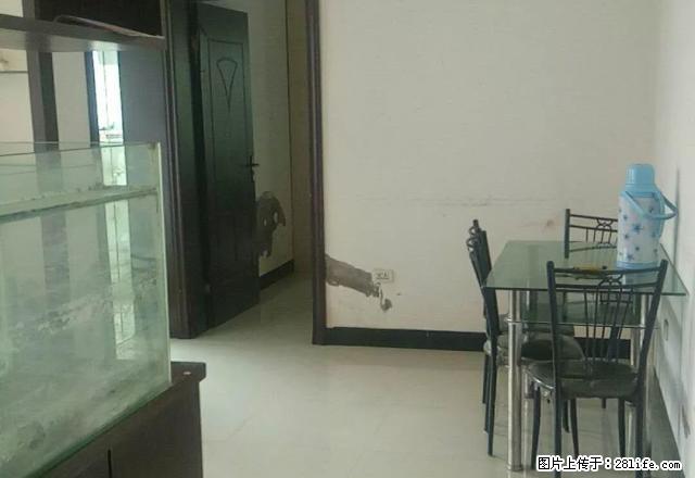 ~~东方明珠两房出租，拎包入住，随时看房。有家具家电的， - 房屋出租 - 房屋租售 - 河池分类信息 - 河池28生活网 hc.28life.com