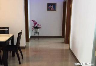 ~~居住，办公都可以，家具家电齐全，看房也随时，全新装修 - 河池28生活网 hc.28life.com