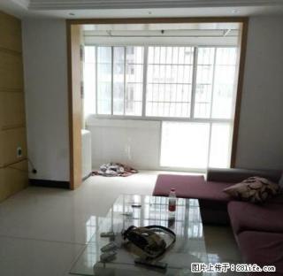 一小附近3房出租。家电家具齐全 - 河池28生活网 hc.28life.com