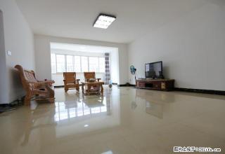 城东住建局单位房3房2厅3卫家具齐全拎包入住 - 河池28生活网 hc.28life.com