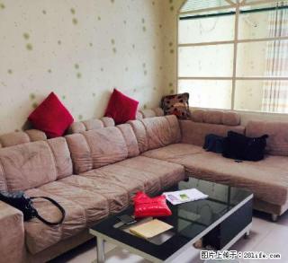 金城江金泰豪庭 1室1厅50平米 中等装修 押二付三 - 河池28生活网 hc.28life.com