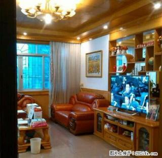 区交通局3房2厅2卫拎包入住 - 河池28生活网 hc.28life.com