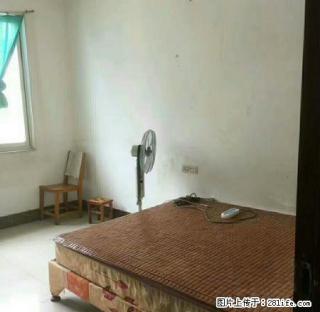 城中粮食局，3房2厅1卫出租 - 河池28生活网 hc.28life.com