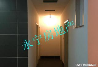 九龙大道大三房！不带家电只要1200/月！拎包入住！ - 河池28生活网 hc.28life.com