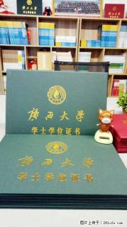 成人高考:高升专/专升本/高起本报名需要什么条件？ - 河池28生活网 hc.28life.com