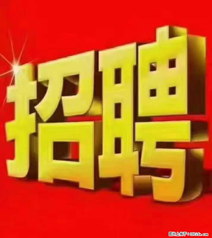 【东莞市威萨电子科技有限公司】公司直招:外贸业务、仓管员、跟单文员、普工 - 职场交流 - 河池生活社区 - 河池28生活网 hc.28life.com
