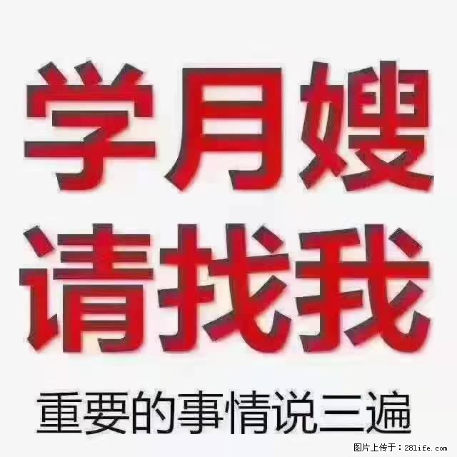 【招聘】月嫂,上海徐汇区 - 职场交流 - 河池生活社区 - 河池28生活网 hc.28life.com