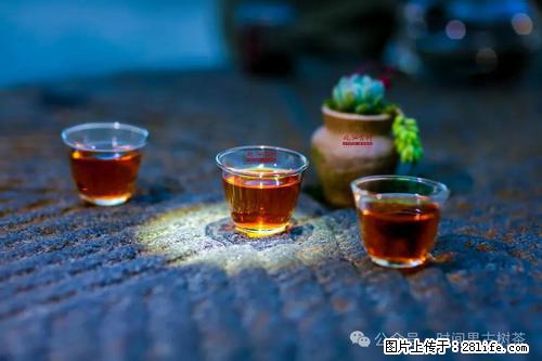 时间果百年古树2025年春红茶 - 购物交流 - 河池生活社区 - 河池28生活网 hc.28life.com