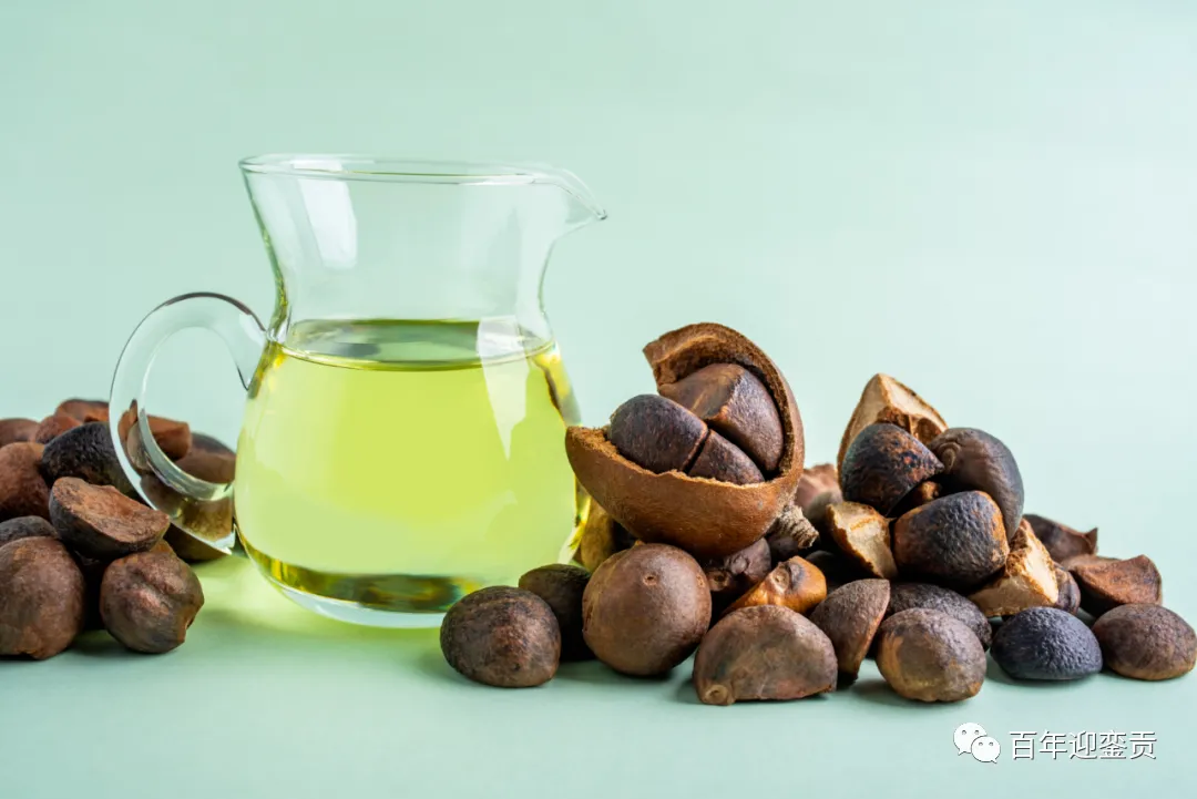 世界没有真相，只有认知，最好的食用油是中国的山茶油！ - 河池生活资讯 - 河池28生活网 hc.28life.com
