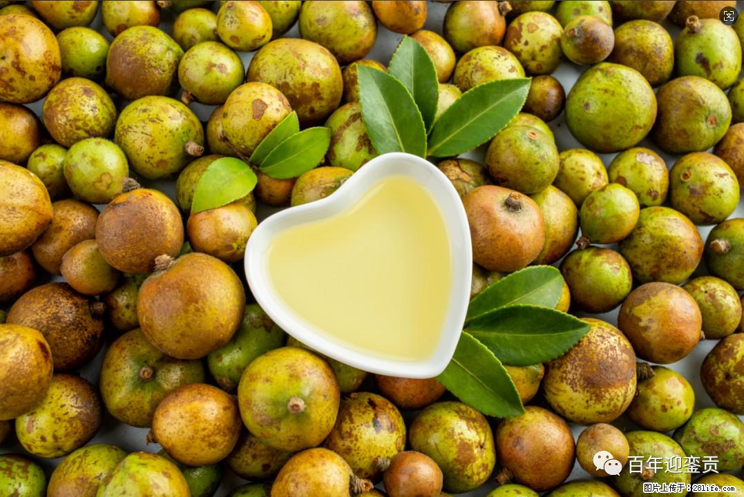 世界没有真相，只有认知，最好的食用油是中国的山茶油！ - 河池生活资讯 - 河池28生活网 hc.28life.com