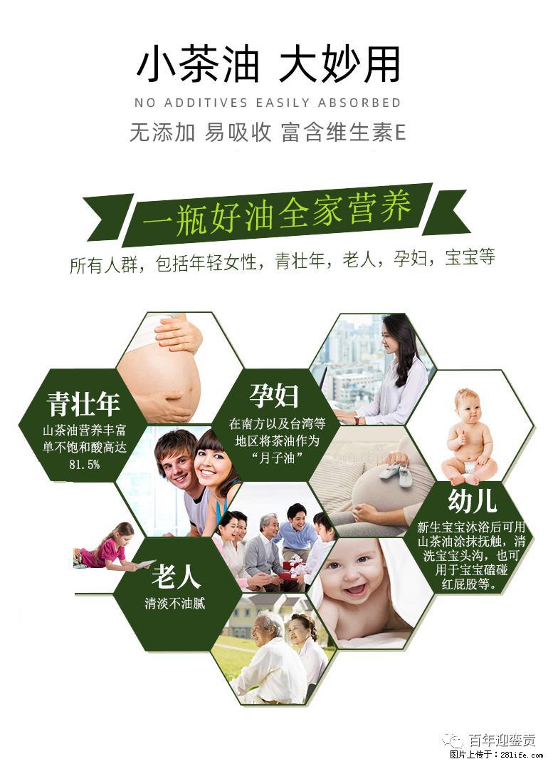 世界没有真相，只有认知，最好的食用油是中国的山茶油！ - 河池生活资讯 - 河池28生活网 hc.28life.com