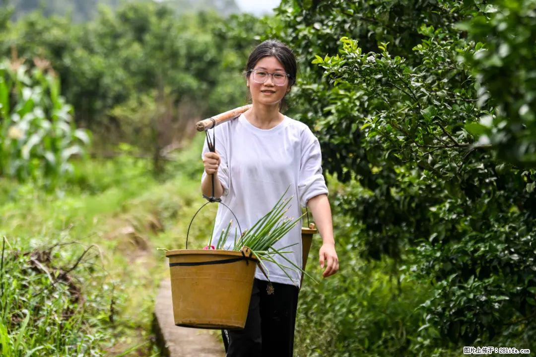 全网追的“扁担女孩”,找了一份暑假工,时薪12元 - 河池生活资讯 - 河池28生活网 hc.28life.com