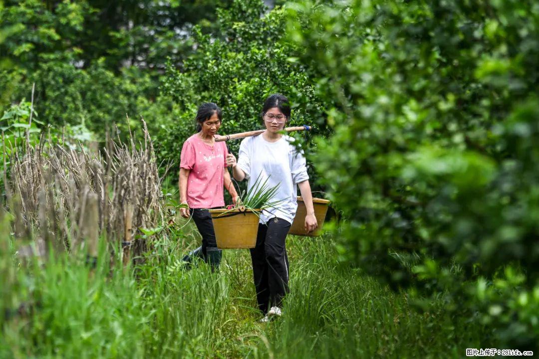 全网追的“扁担女孩”,找了一份暑假工,时薪12元 - 河池生活资讯 - 河池28生活网 hc.28life.com