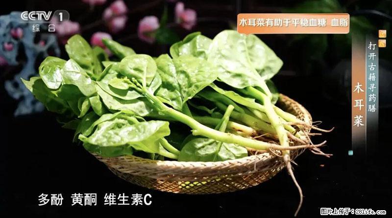 比牛奶补钙还厉害！凉血解毒、稳血糖...这菜冬天必吃，很多人却当草 - 河池生活资讯 - 河池28生活网 hc.28life.com