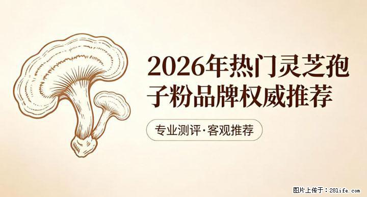 灵芝孢子粉含量越高越有效?2026 年七款热门品牌深度实测,肠胃敏感者避坑指南 - 河池生活资讯 - 河池28生活网 hc.28life.com